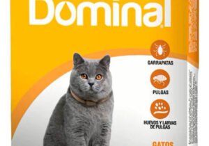 Collar Dominal Gato